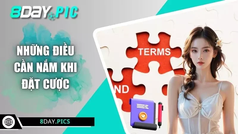 Những điều khoản điều kiện 8DAY cần nắm rõ
