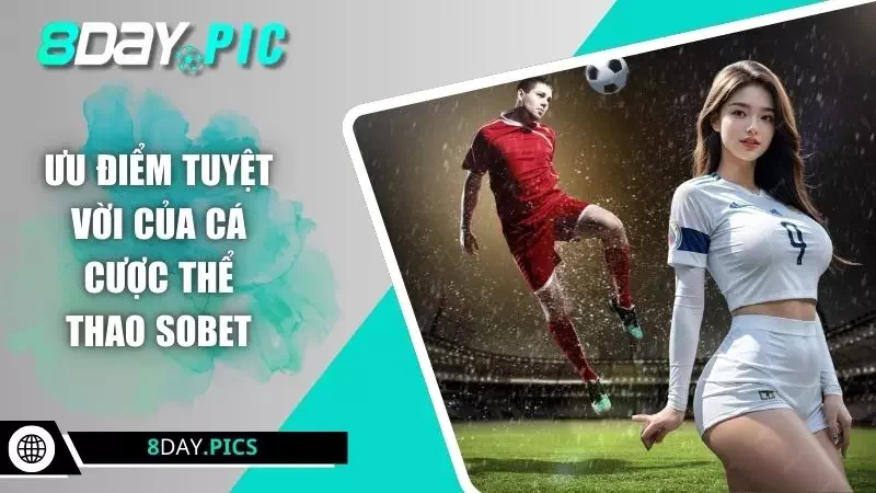 Ưu điểm tuyệt vời của cá cược thể thao sobet