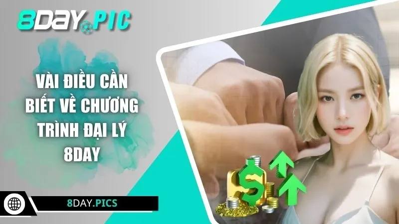Vài điều cần biết về chương trình đại lý 8DAY