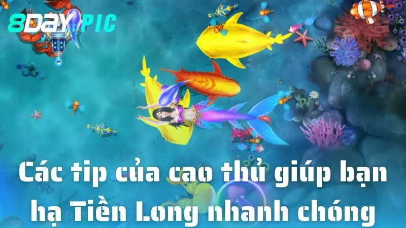 Các tip của cao thủ giúp bạn hạ Tiền Long nhanh chóng