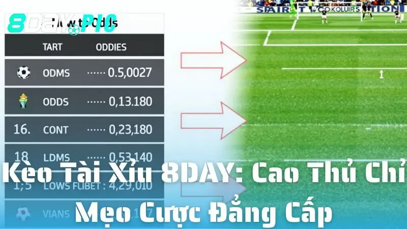 Kèo Tài Xỉu 8DAY: Cao Thủ Chỉ Mẹo Cược Đẳng Cấp